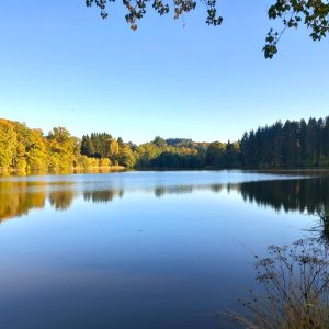 2025.10.17 Lac automne 2