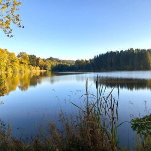 Hébergement insolite en Auvergne, au bord dun lac paisible entouré de verdure.