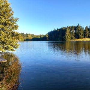 Hébergement insolite en Auvergne, cabane au bord dun lac paisible entouré de forêts.