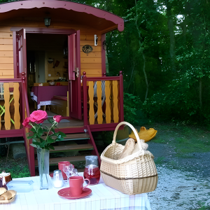 2e0bee7d2a9878c98afd0a9e9ac0cd70_upscayl_5x_upscayl-standard-4x