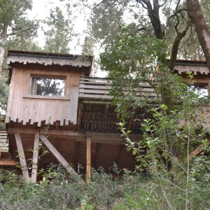 3 LesCabanesdanslesBois Carcassonne Tribu