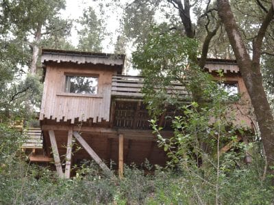 Cabane perchée en bois, nichée dans la verdure du Languedoc-Roussillon.