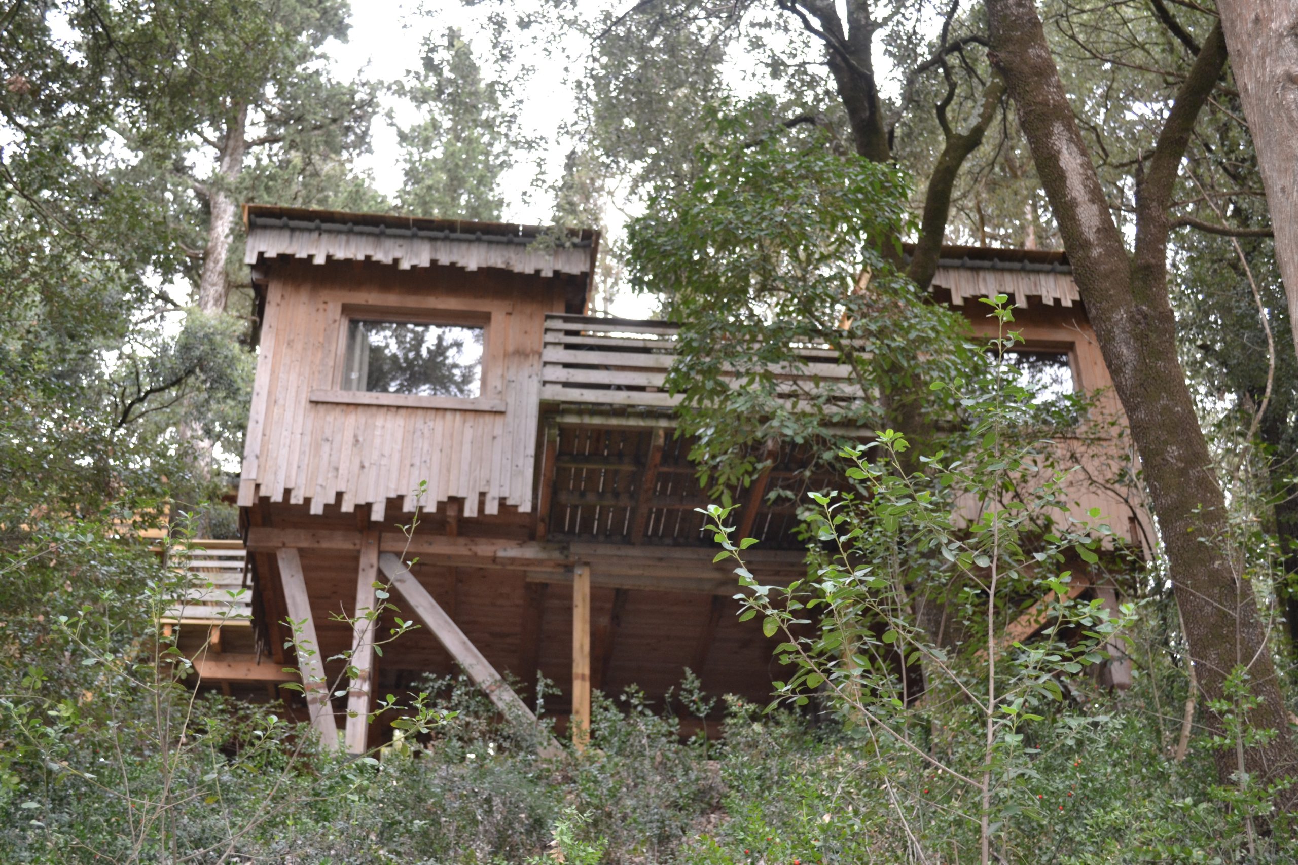 3 LesCabanesdanslesBois Carcassonne Tribu