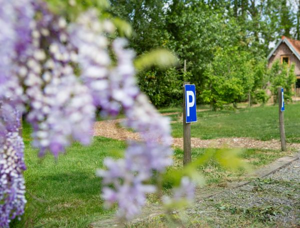 Charmante maison de campagne avec parking, entourée de fleurs violettes.