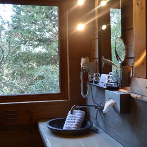 9 LesCabanesdanslesBois Carcassonne Tribu