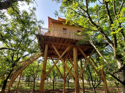 Cabane perchée en bois, entourée darbres, offrant une vue dégagée sur la nature.