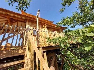 Cabane perchée en bois entourée de verdure, avec une terrasse ensoleillée.