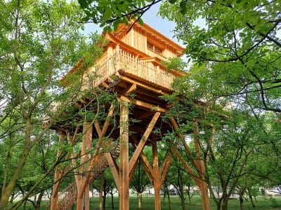 Cabane perchée en bois, entourée darbres verdoyants en Auvergne-Rhône-Alpes.