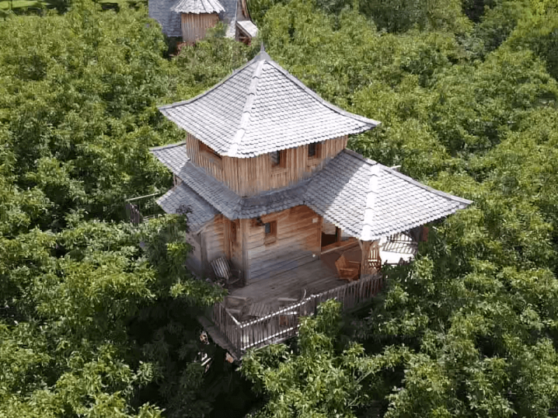 Cabane perchée en bois entourée darbres, offrant une vue imprenable sur la nature.