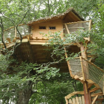 Les Cabanes dans les Arbres de Caluche