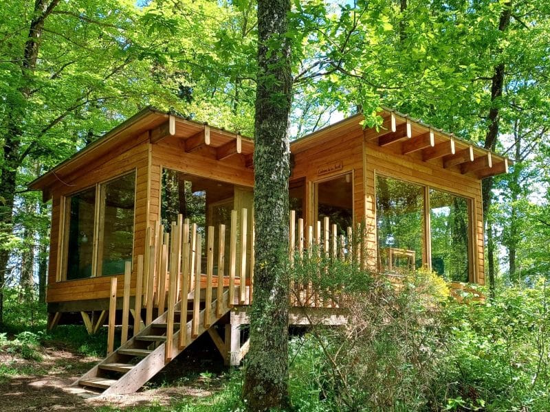 Cabane en bois au cœur de la forêt, entourée darbres verdoyants.