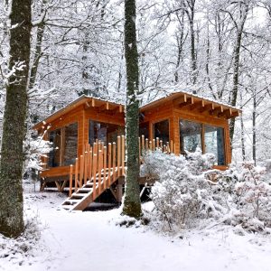 Cabane de la forêt- domaine du balbuzard 0