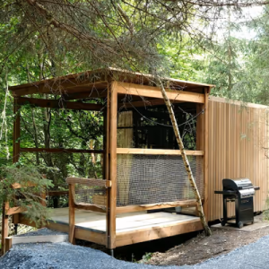 Cabane en bois dans les arbres, entourée de verdure, avec un espace barbecue.