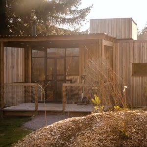 Cabane en bois moderne avec terrasse, entourée de verdure et de lumière naturelle.