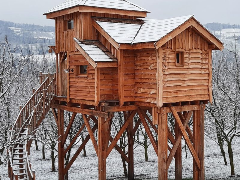 Cabane en bois perchée, entourée dun paysage enneigé et darbres.