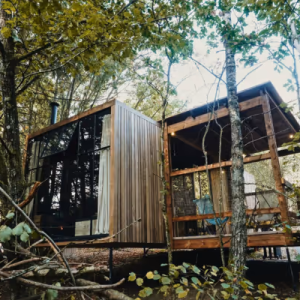 Cabane en bois perchée dans les arbres, entourée de verdure luxuriante.