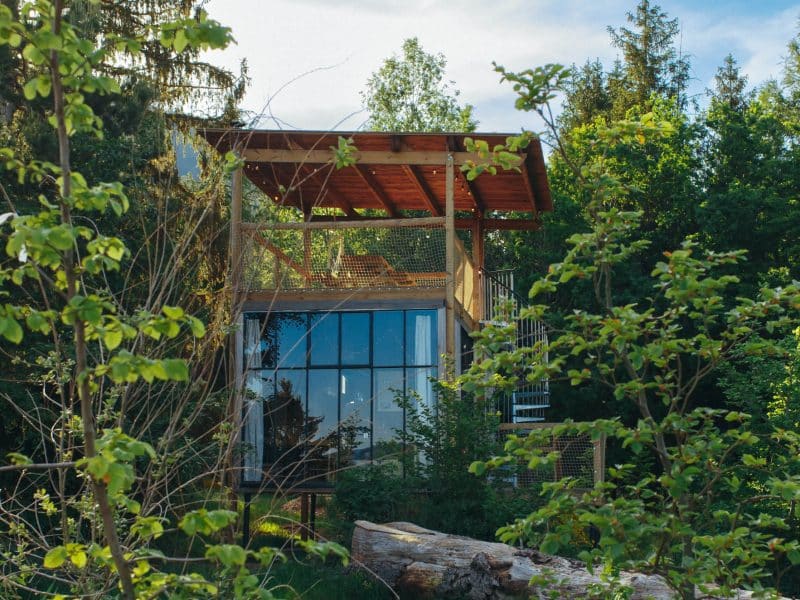 Cabane perchée en Alsace, entourée darbres, avec de grandes fenêtres.