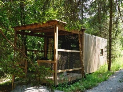 Cabane en bois dans les arbres, entourée de verdure luxuriante en Wallonie.