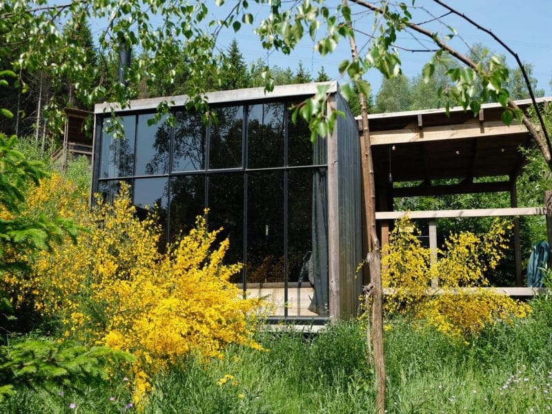 Cabane moderne en bois entourée de fleurs jaunes et verdure luxuriante.
