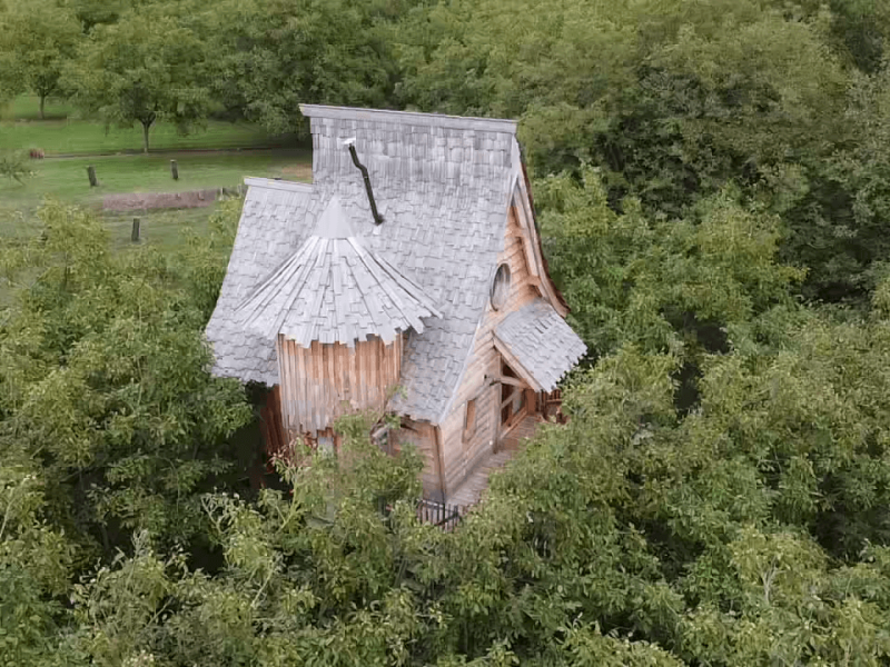 Cabane en bois perchée dans les arbres, entourée de verdure luxuriante.