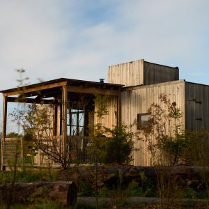 Free for use but tag Ruben Visserthooft online (36)