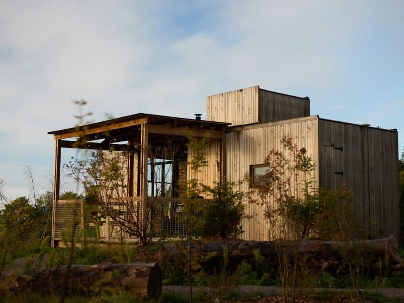 Cabane en bois moderne en Alsace, entourée de verdure et de troncs darbres.