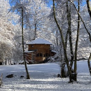 Cabane en bois dans la neige, entourée darbres majestueux à Midi-Pyrénées.