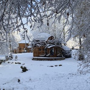 Cabane en bois dans la neige, entourée darbres, ambiance féerique à Midi-Pyrénées.