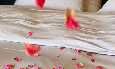 Cabane Feu de Forêt