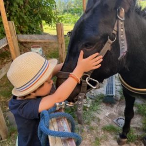 Enfant caressant un cheval dans un gîte rural au cœur de la nature.
