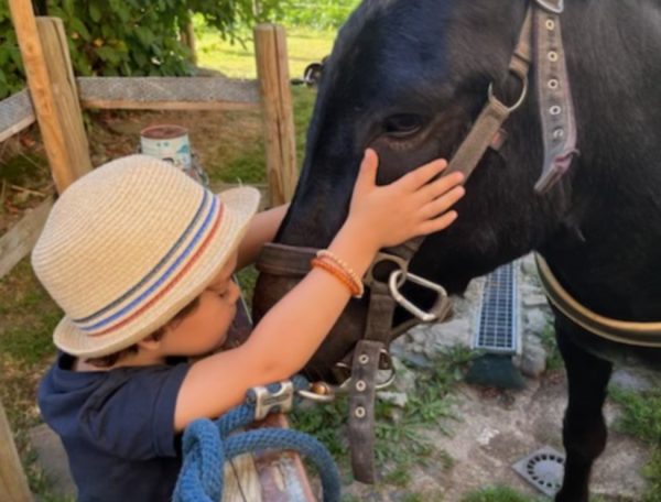 Enfant caressant un cheval dans un gîte rural au cœur de la nature.