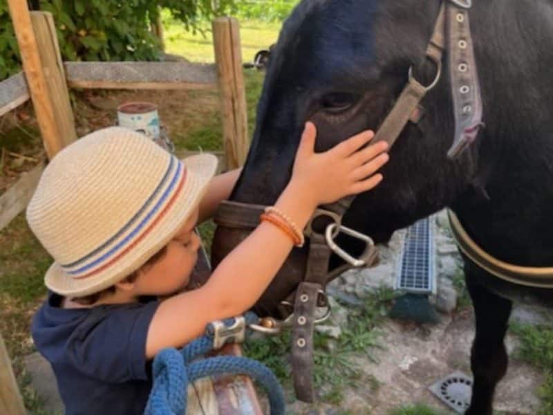 Enfant caressant un cheval dans un gîte rural au cœur de la nature.