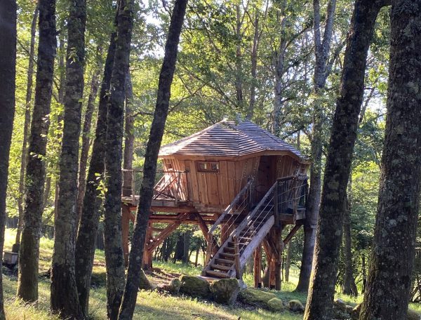 Cabane dans les arbres en bois, perchée au milieu dune forêt verdoyante.