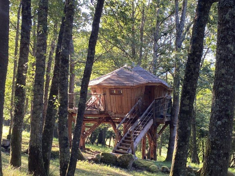 Cabane dans les arbres en bois, perchée au milieu dune forêt verdoyante.