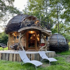 Cabane en bois originale avec un toit en branches, située en pleine nature.