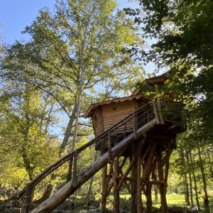Cabane perchée en bois, entourée darbres verdoyants sous un ciel bleu.