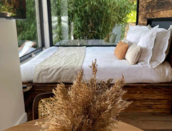 Chambre dhôtes moderne avec vue sur un jardin verdoyant et décoration chaleureuse.