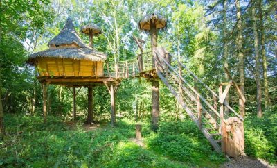 Cabane perchée en foret