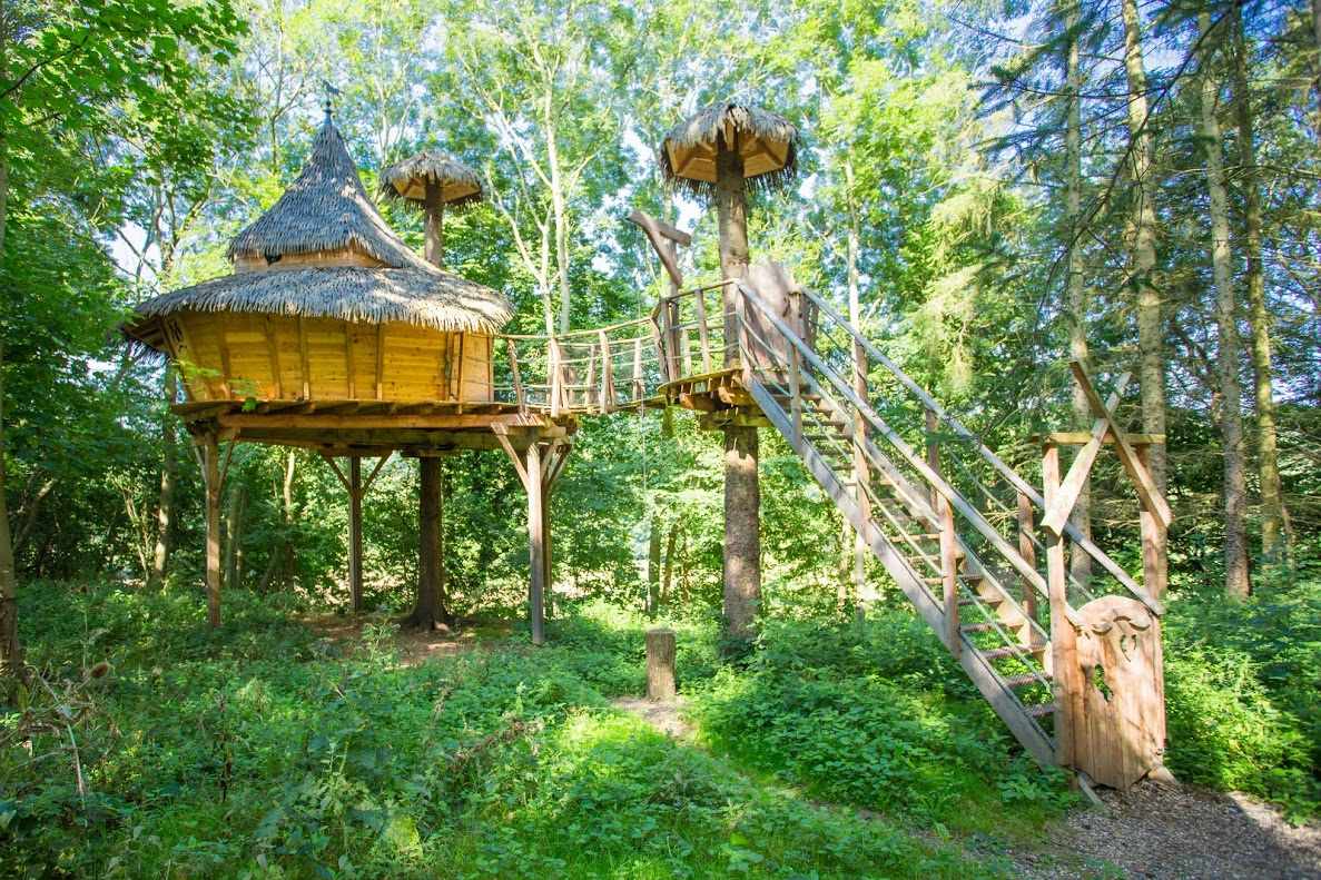 Cabane perchée en foret