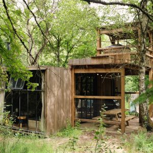 Les Ardennes Tree Trunk hot tub 1