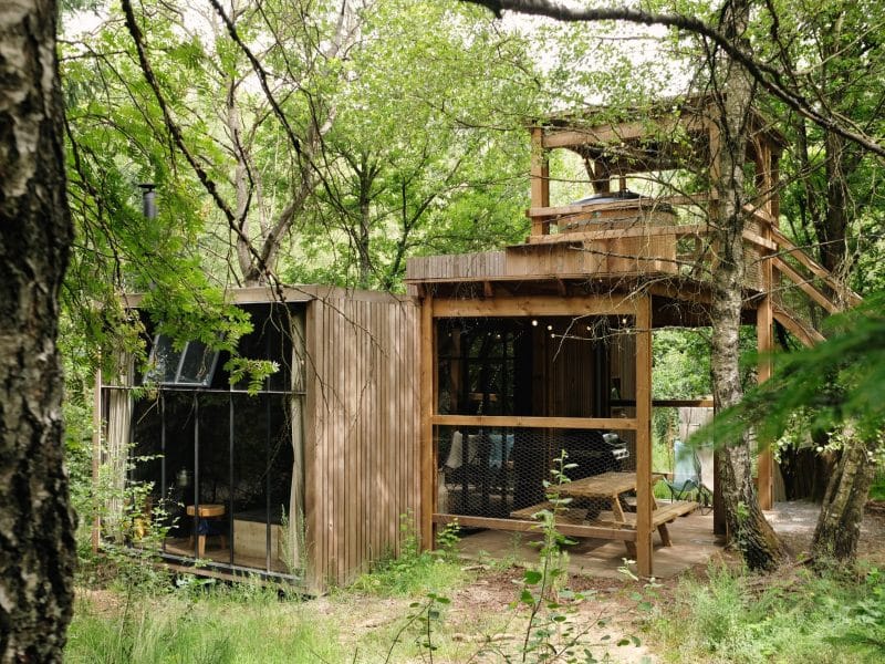 Cabane dans les arbres en Wallonie, entourée de verdure et avec une terrasse en bois.