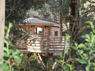 Cabane perchée en bois, entourée de verdure, avec une terrasse ensoleillée.