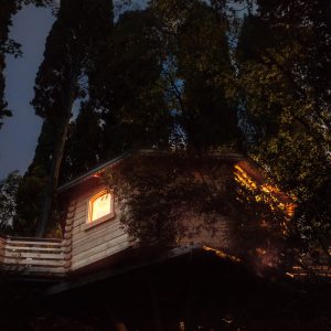 LesCabanesdanslesBois Carcassonne Cassine (4)