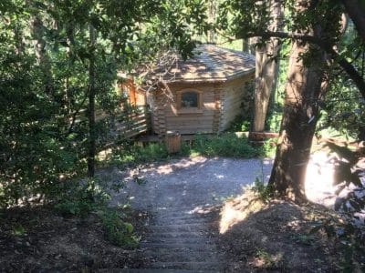 Cabane en bois nichée dans la verdure, offrant un cadre paisible et naturel.