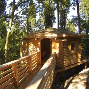 LesCabanesdanslesBois Carcassonne Cassine (9)