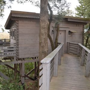 LesCabanesdanslesBois Carcassonne insolite Fuste (3)