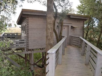 Cabane perchée en bois, accessible par une passerelle, entourée de verdure.