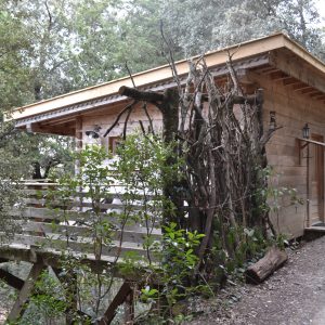 LesCabanesdanslesBois Carcassonne insolite Fuste (4)