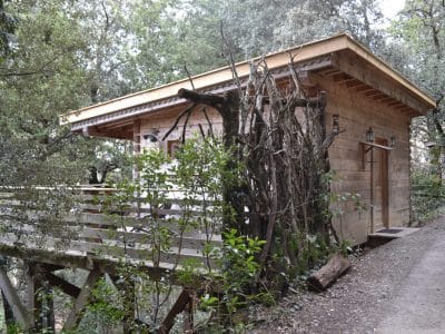 Cabane en bois perchée, entourée darbres verdoyants dans le Languedoc-Roussillon.