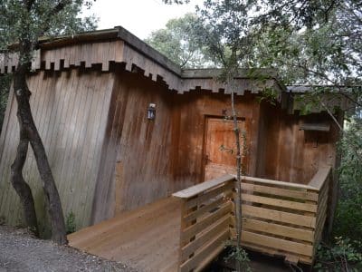 Cabane en bois dans les arbres, entourée de verdure, offrant un séjour unique.